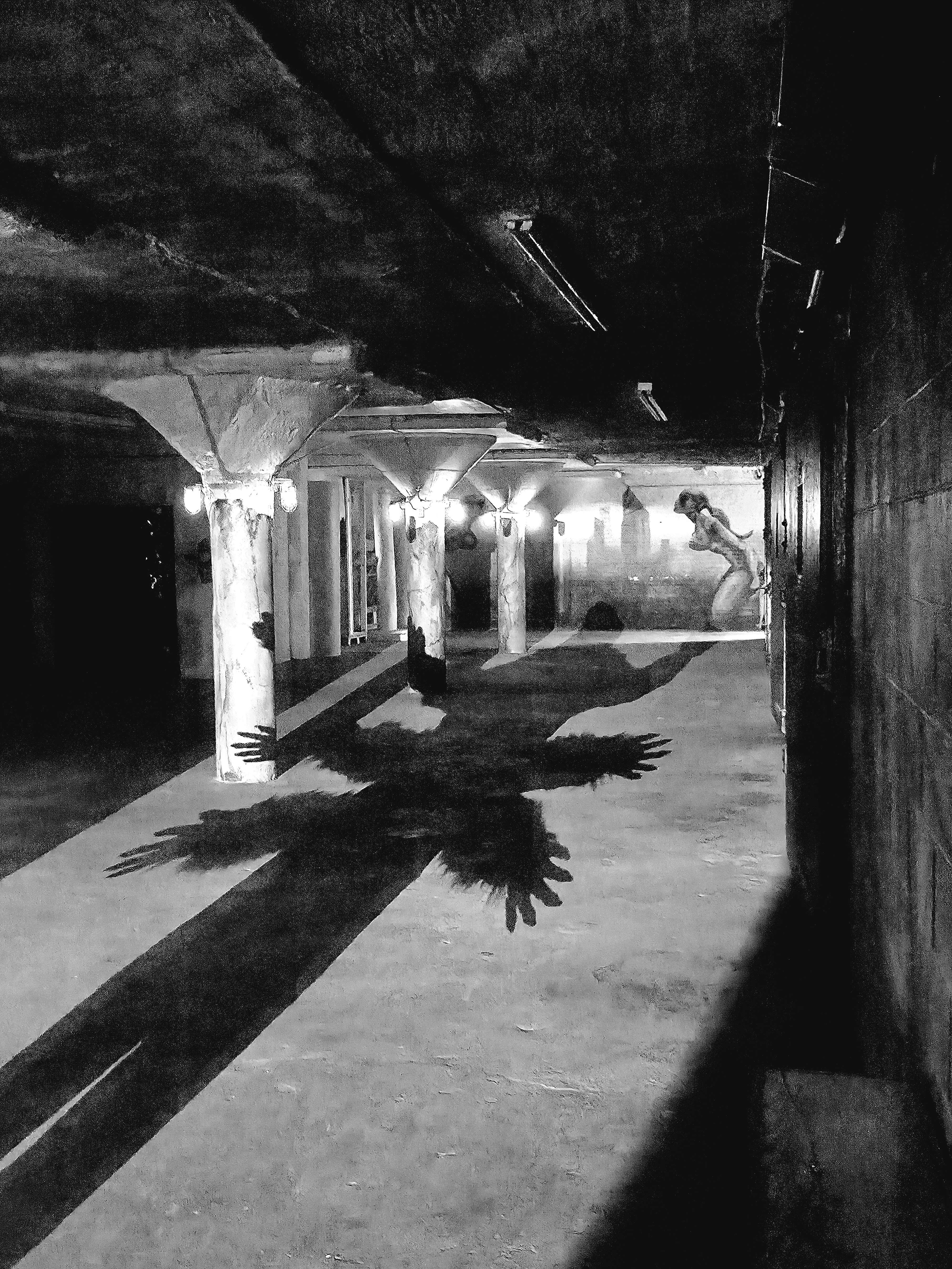 a black and white photo of a shadow in a parking garage