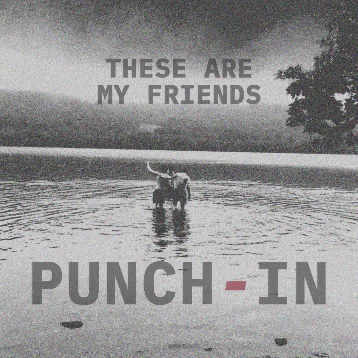 Punch-in - These Are My Friends: these are my friends punch - in