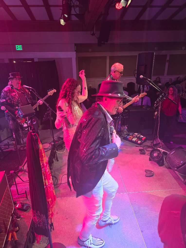a group of people on stage at a concert
