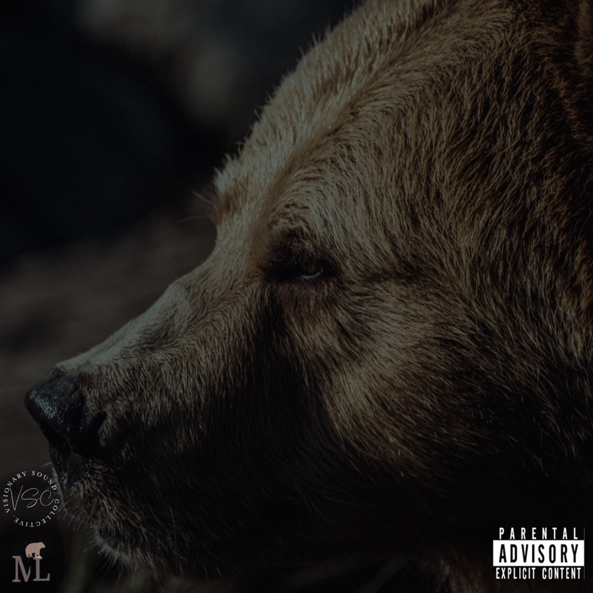 Malleous - The Vision: the face of a brown bear