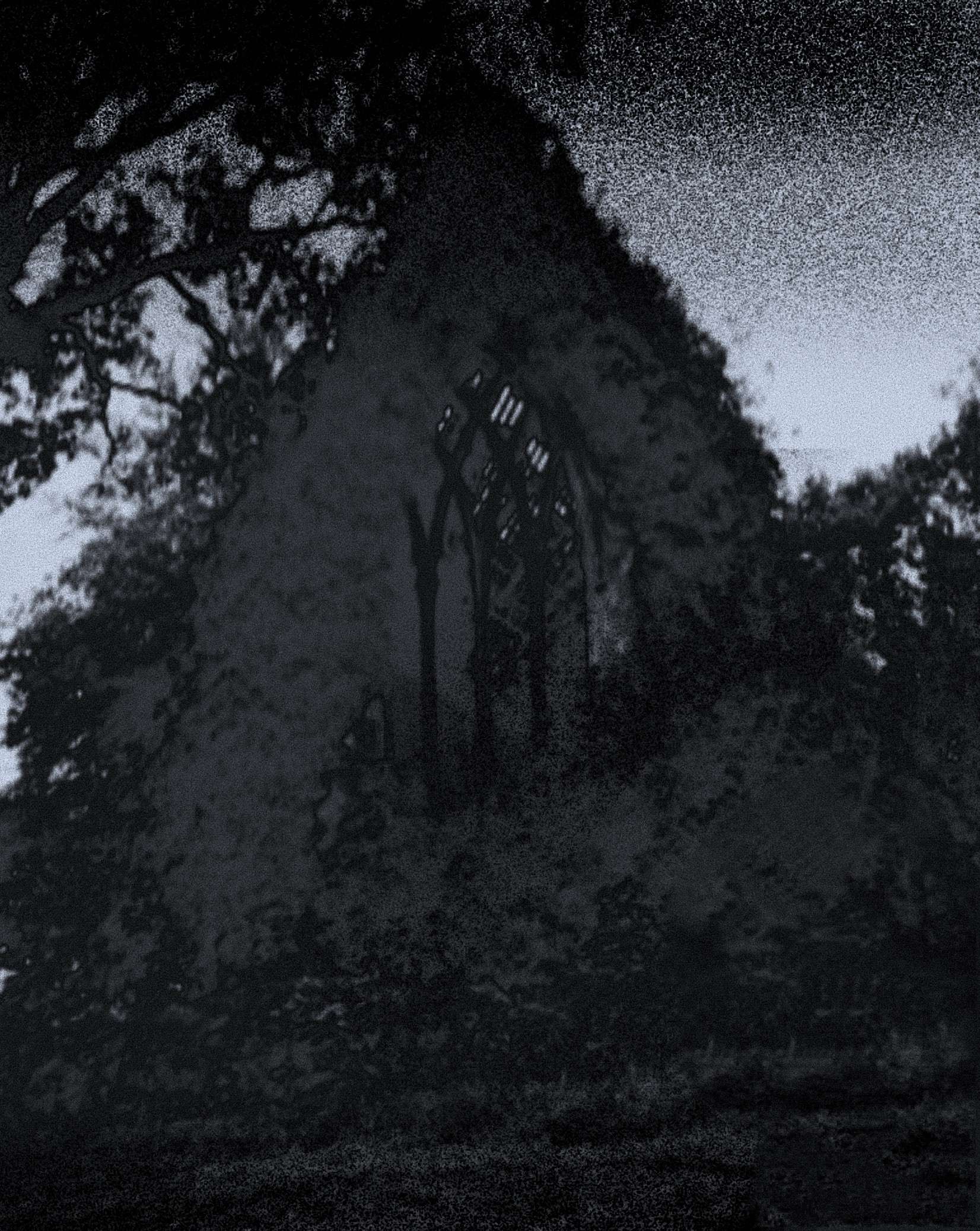 a black and white image of a church with trees in the background