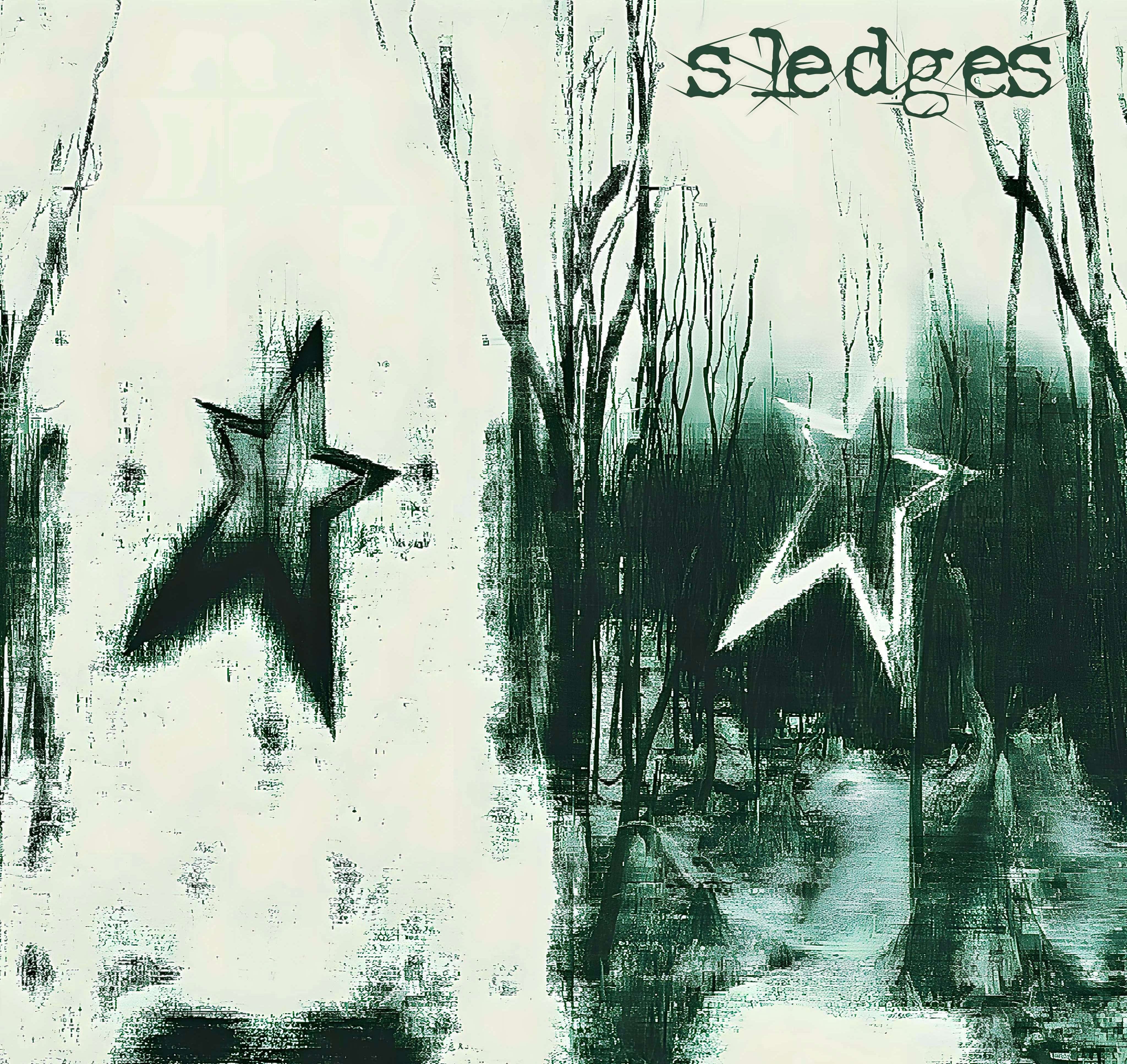 a black and white image of a star in the woods