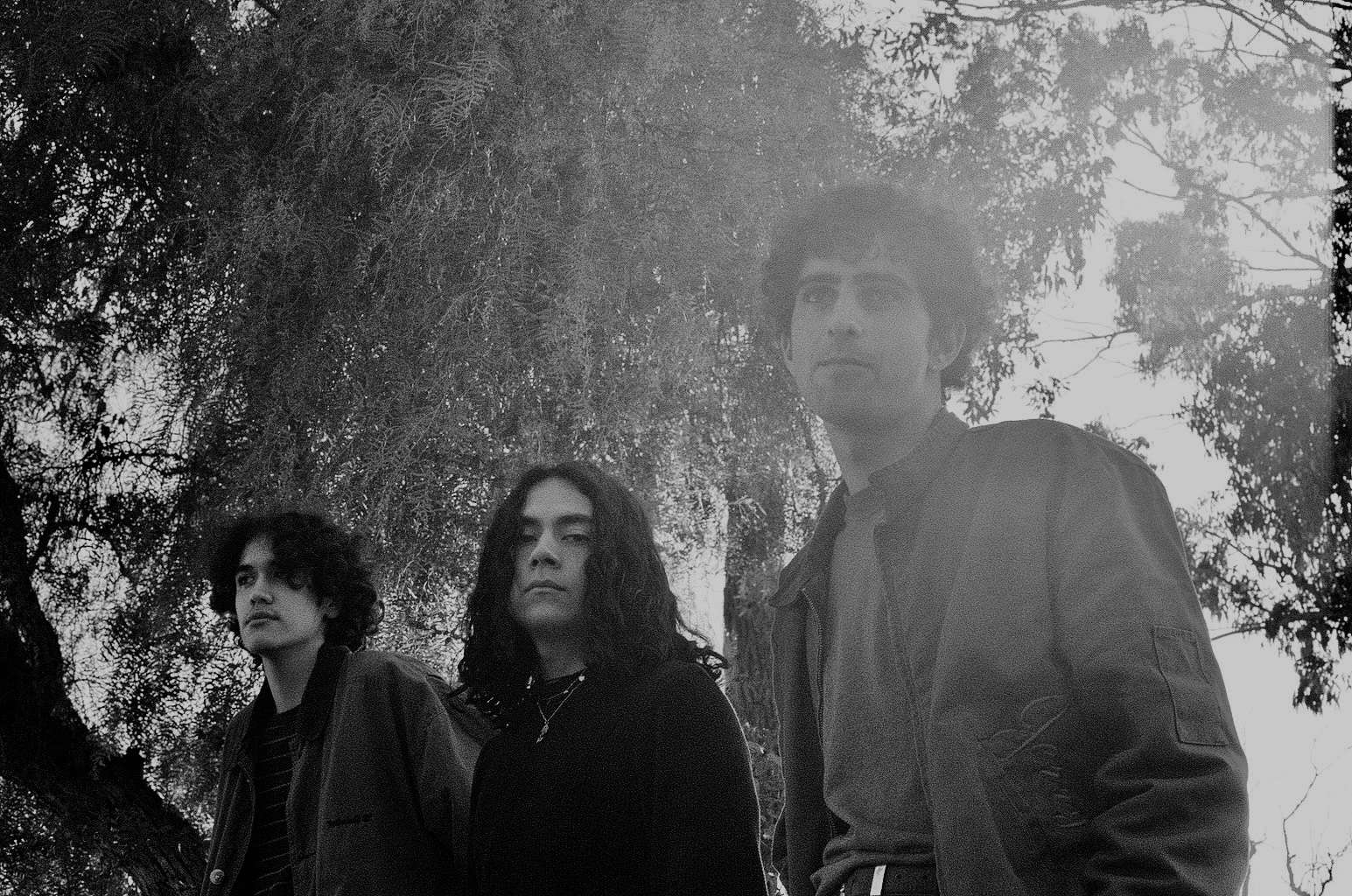a black and white photo of a group of people standing next to a tree