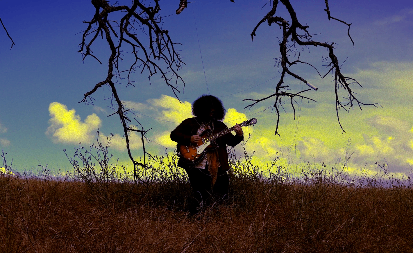 a person standing in a field with a guitar