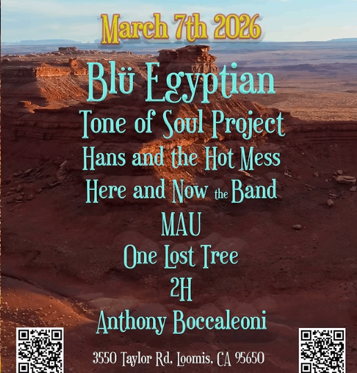 a flyer for the bit egyptian tone of soul project