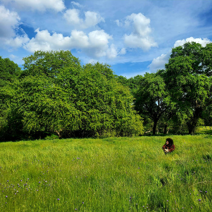 a person is sitting in a grassy field