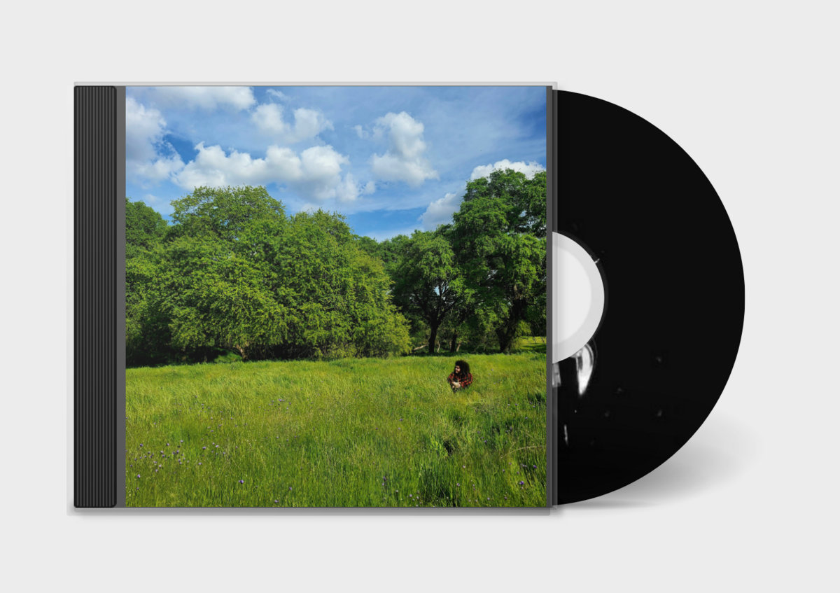 a black cd with a picture of a grassy field
