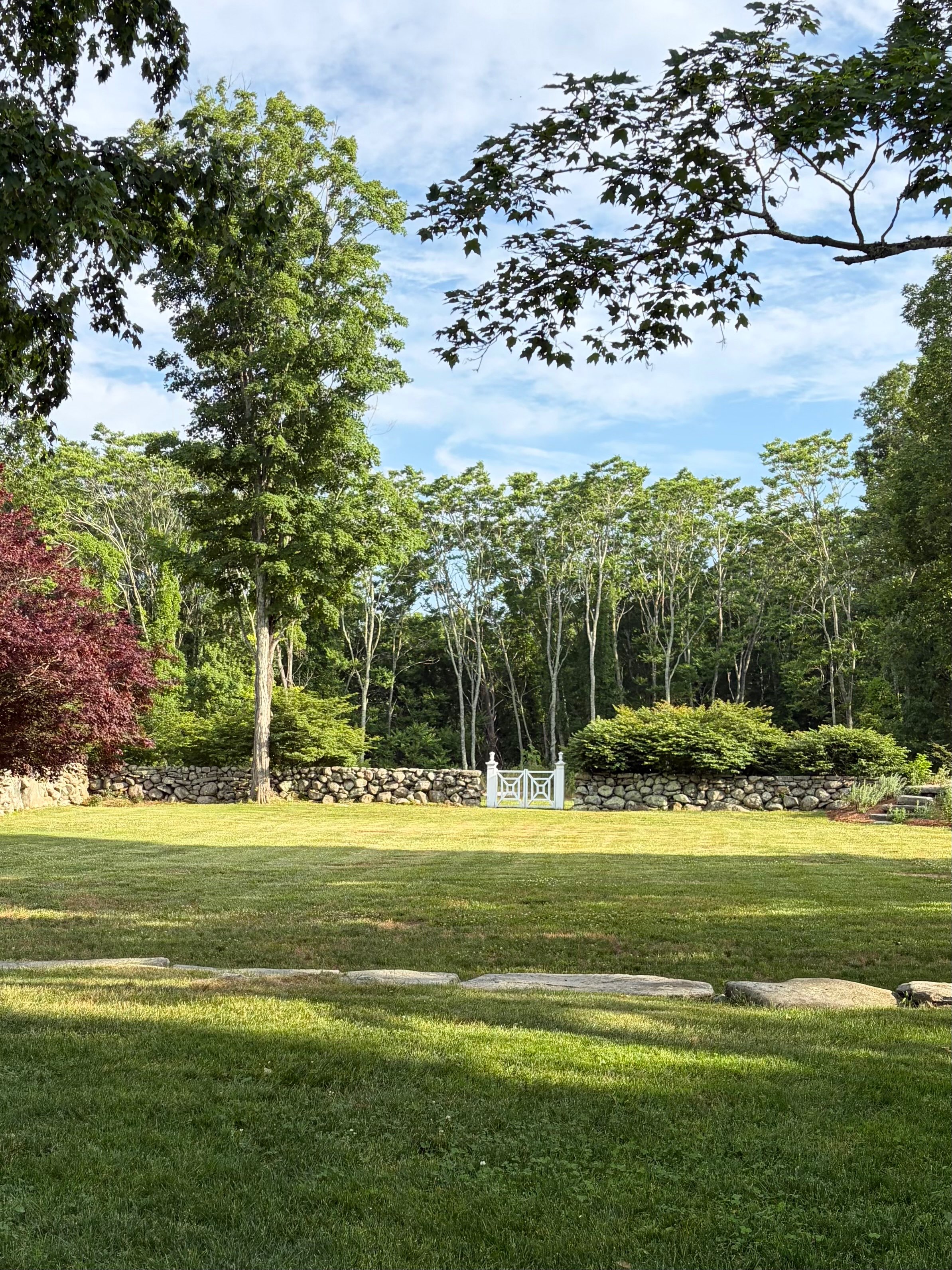 a grassy area with trees and a fountain