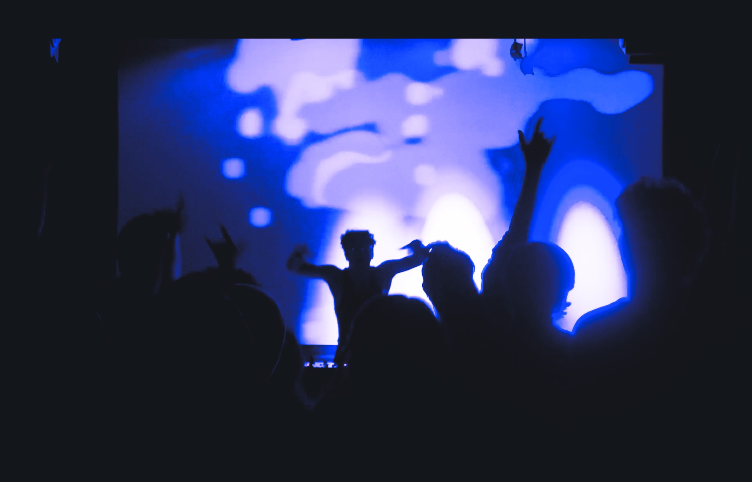 silhouette of a crowd at a concert
