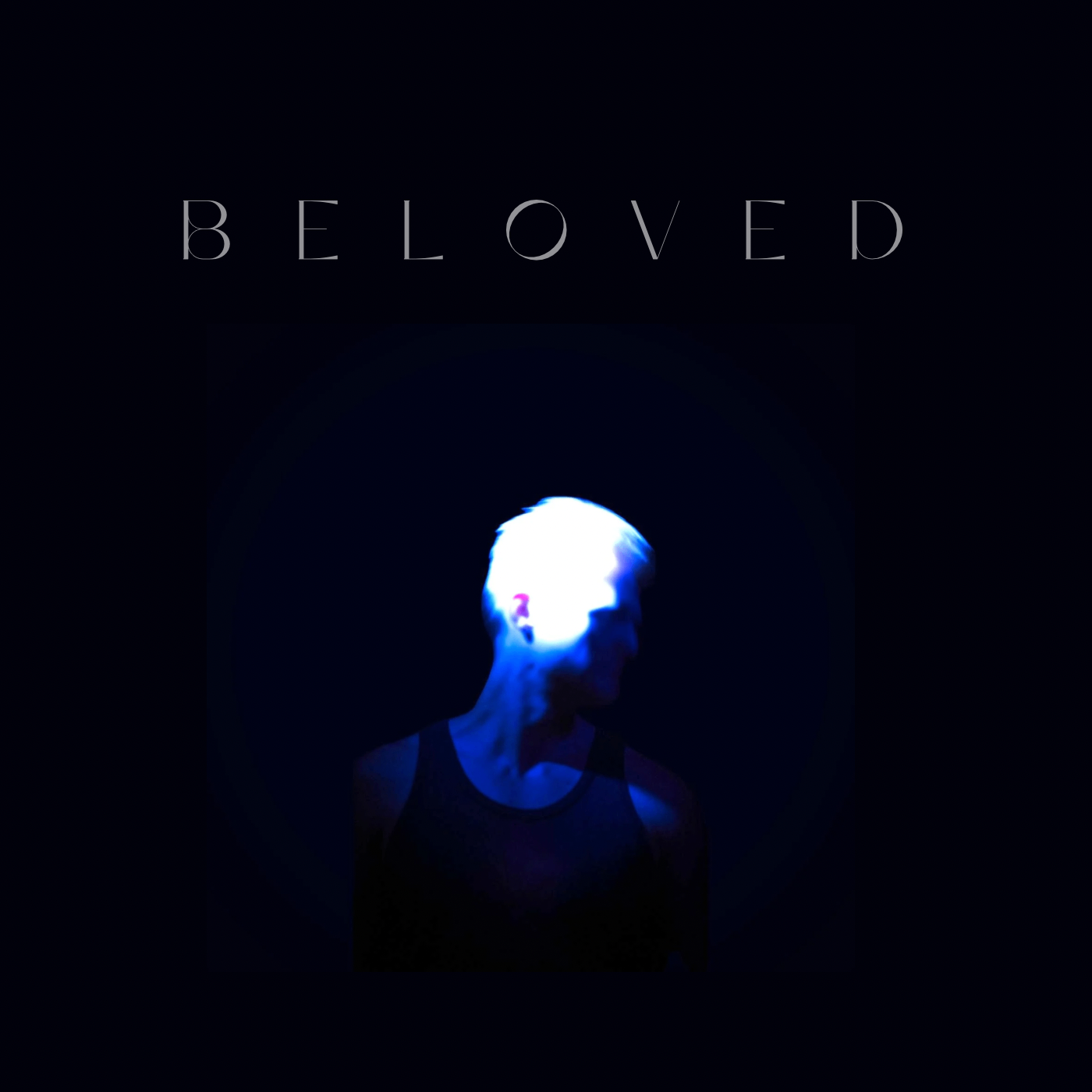 David Schaefer - Beloved: the cover of the album beloved