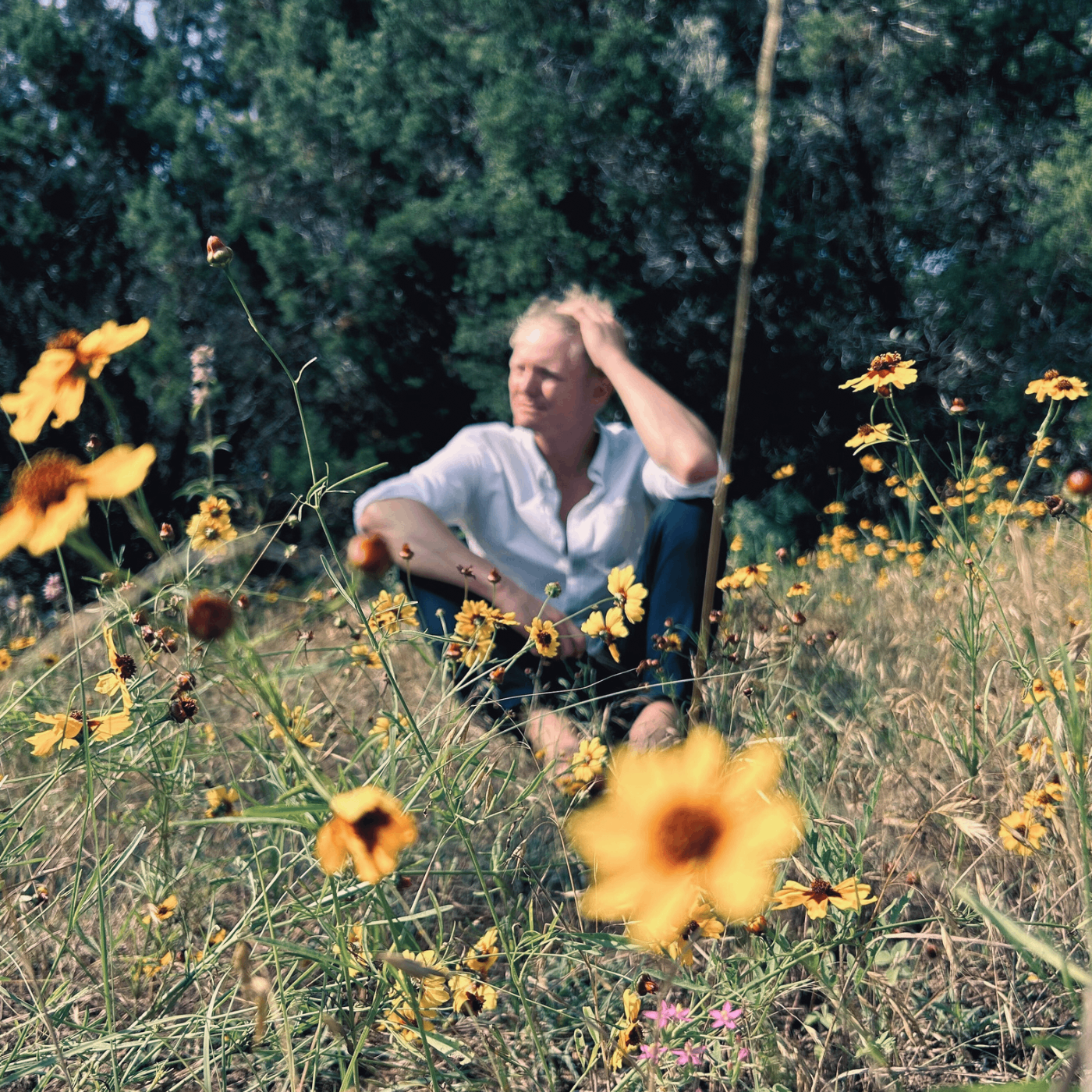 a man sitting in a field of flowers