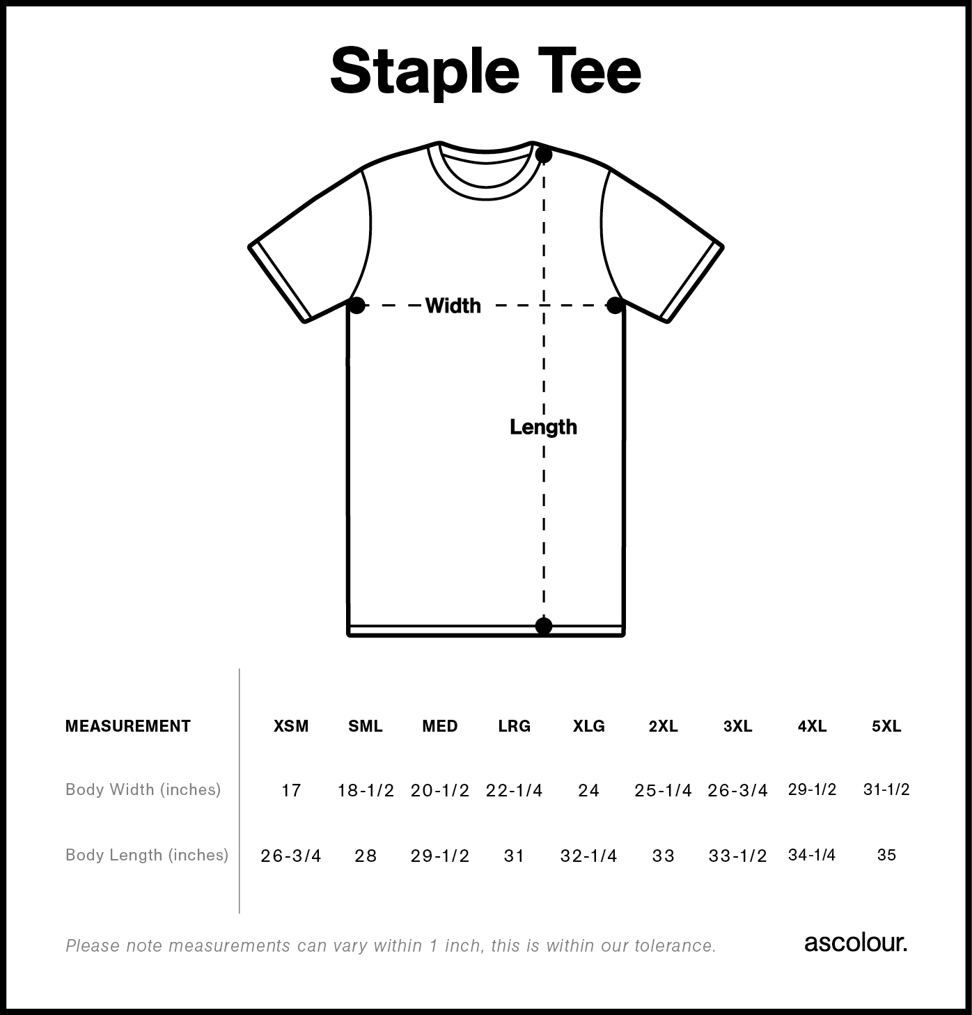 staple tee size chart