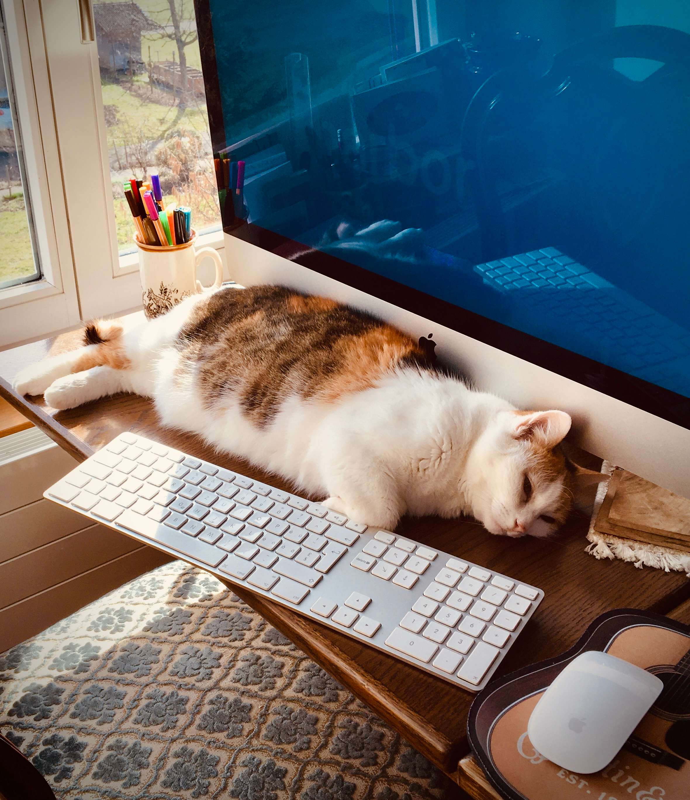 a cat laying on a desk next to a keyboard