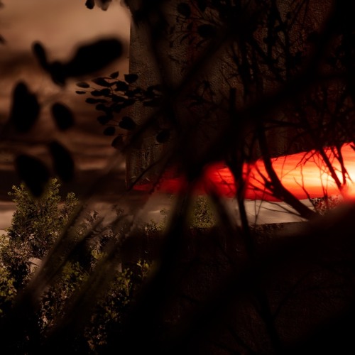 a red light shines through a tree in the dark