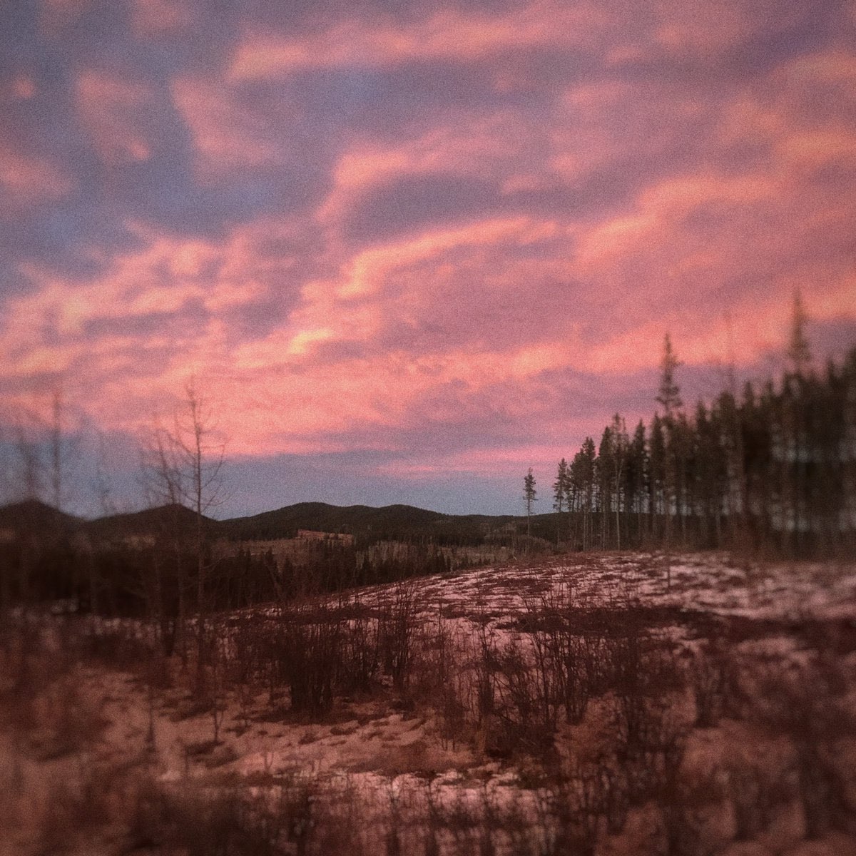 Joseph Tennant - Alta: a pink sky over a field and trees