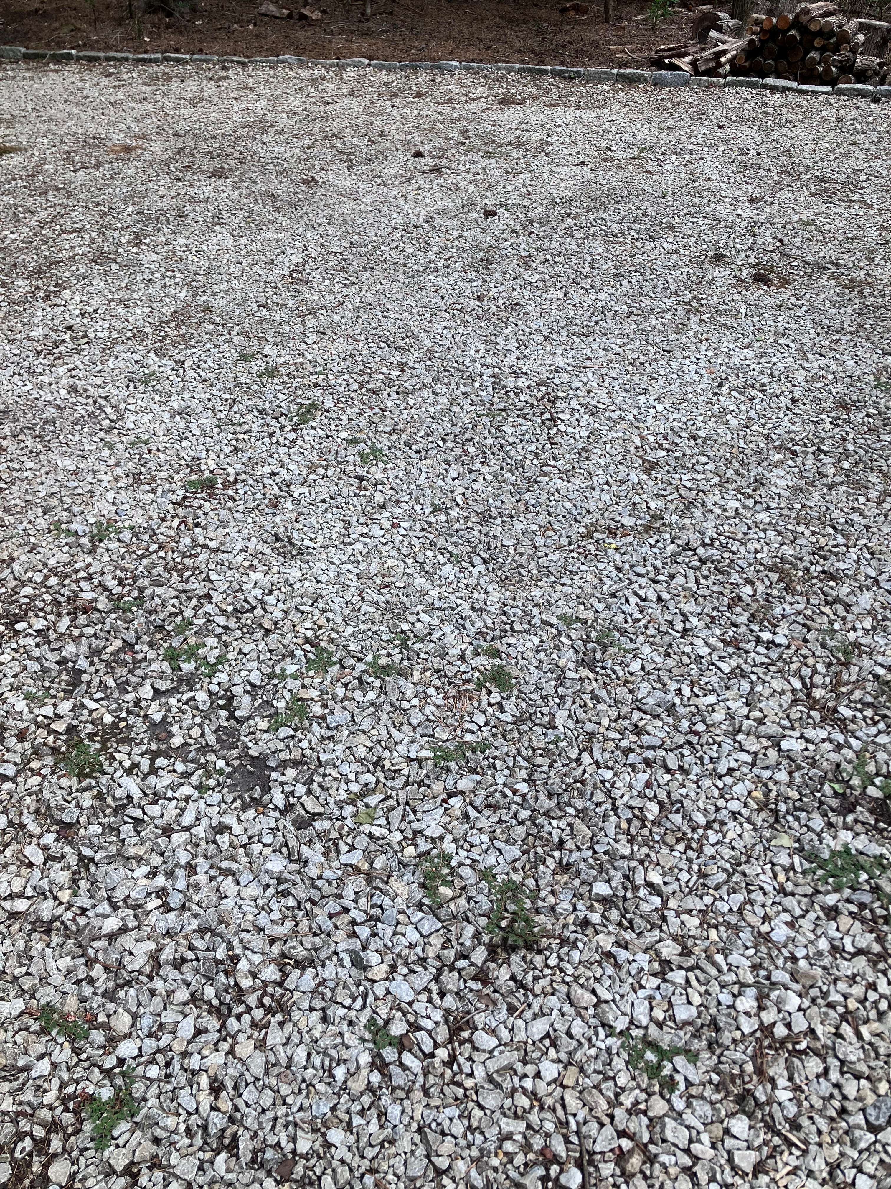 a gravel driveway in the middle of a wooded area