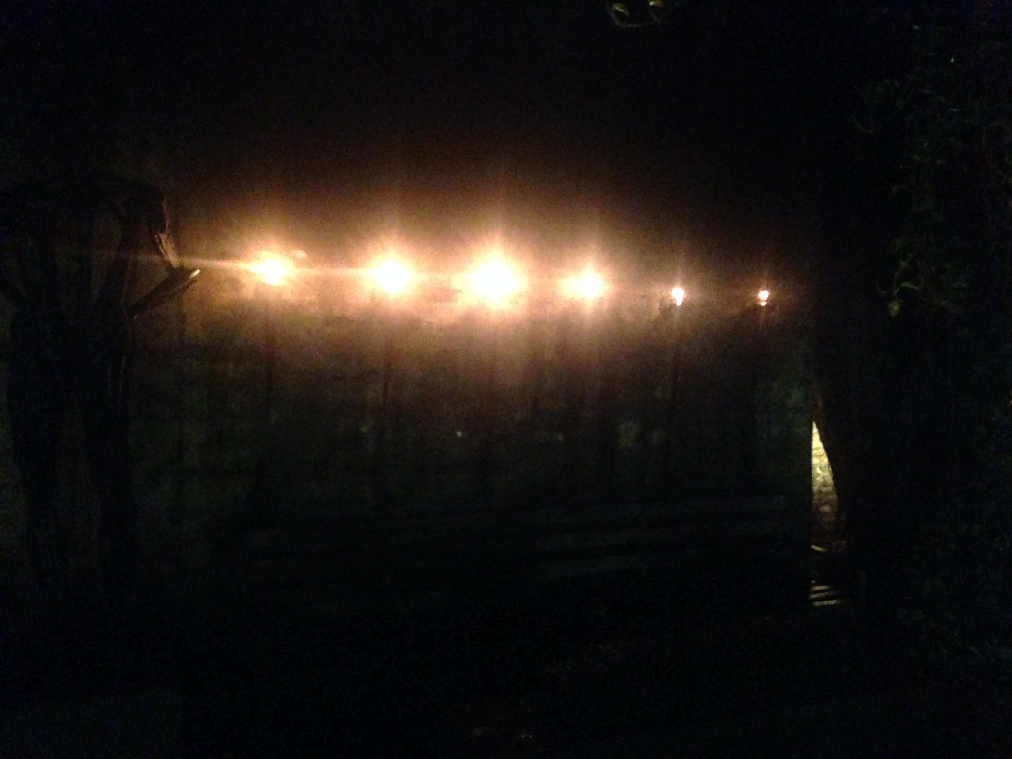 a bench is lit up at night