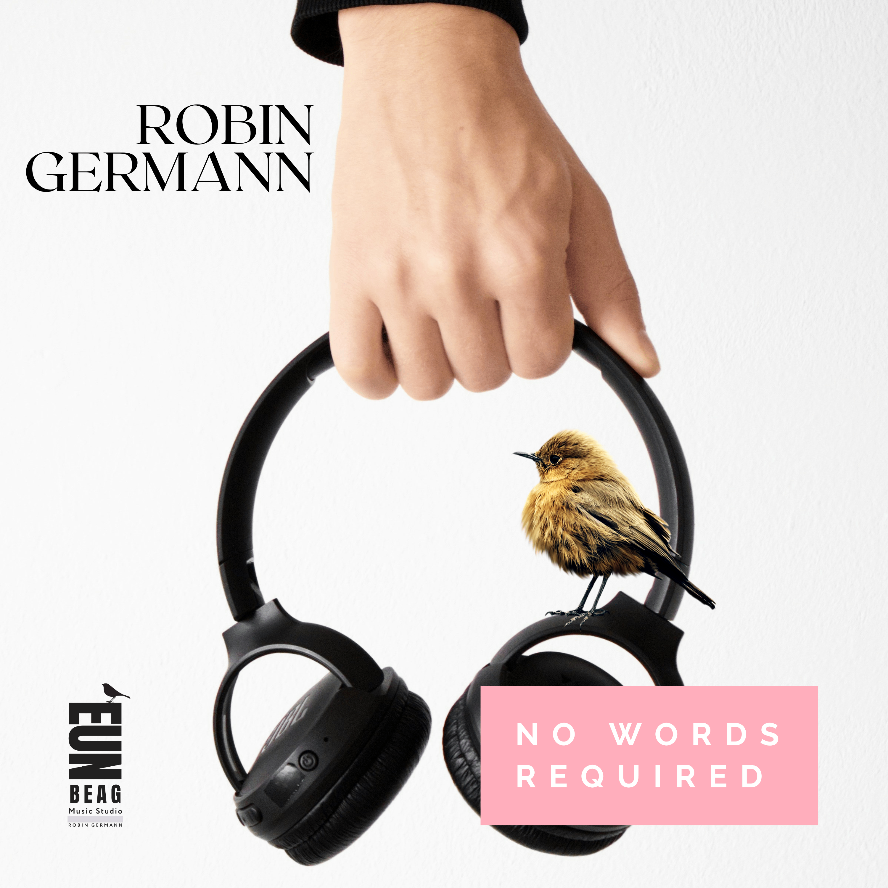 Robin Germann - No Words Required: no words required by robin german