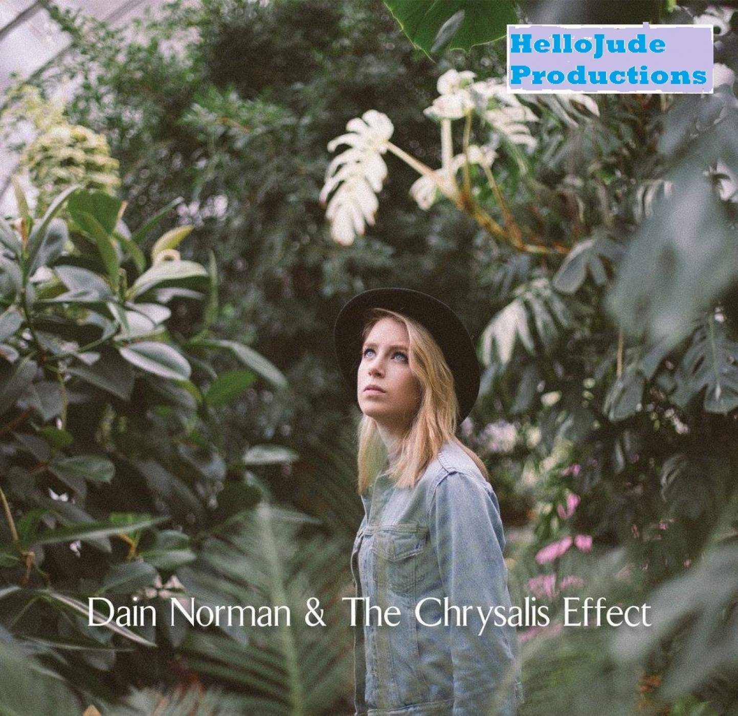 dan norman & the crystals effect