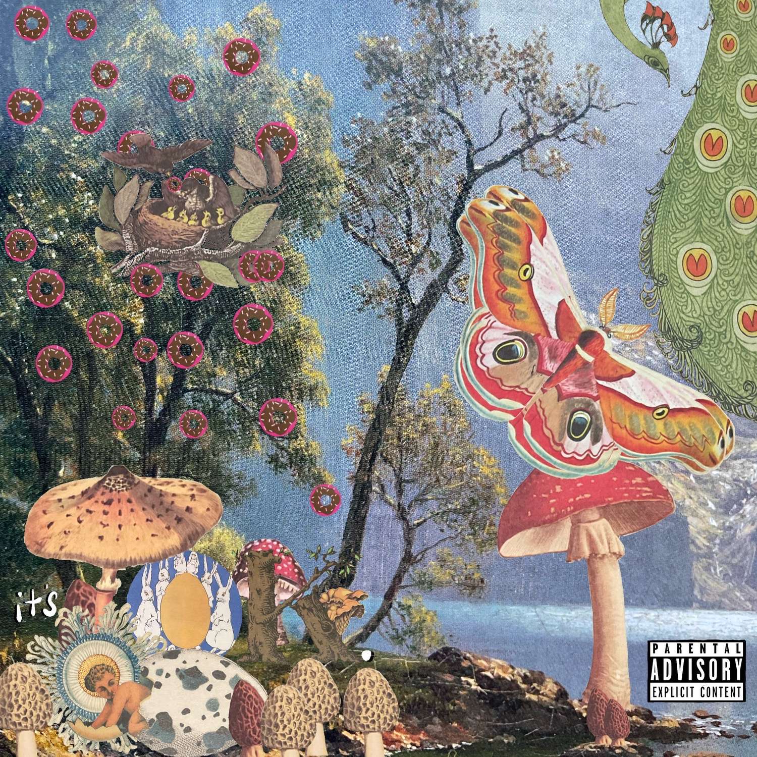 a collage of mushrooms, flowers, and butterflies