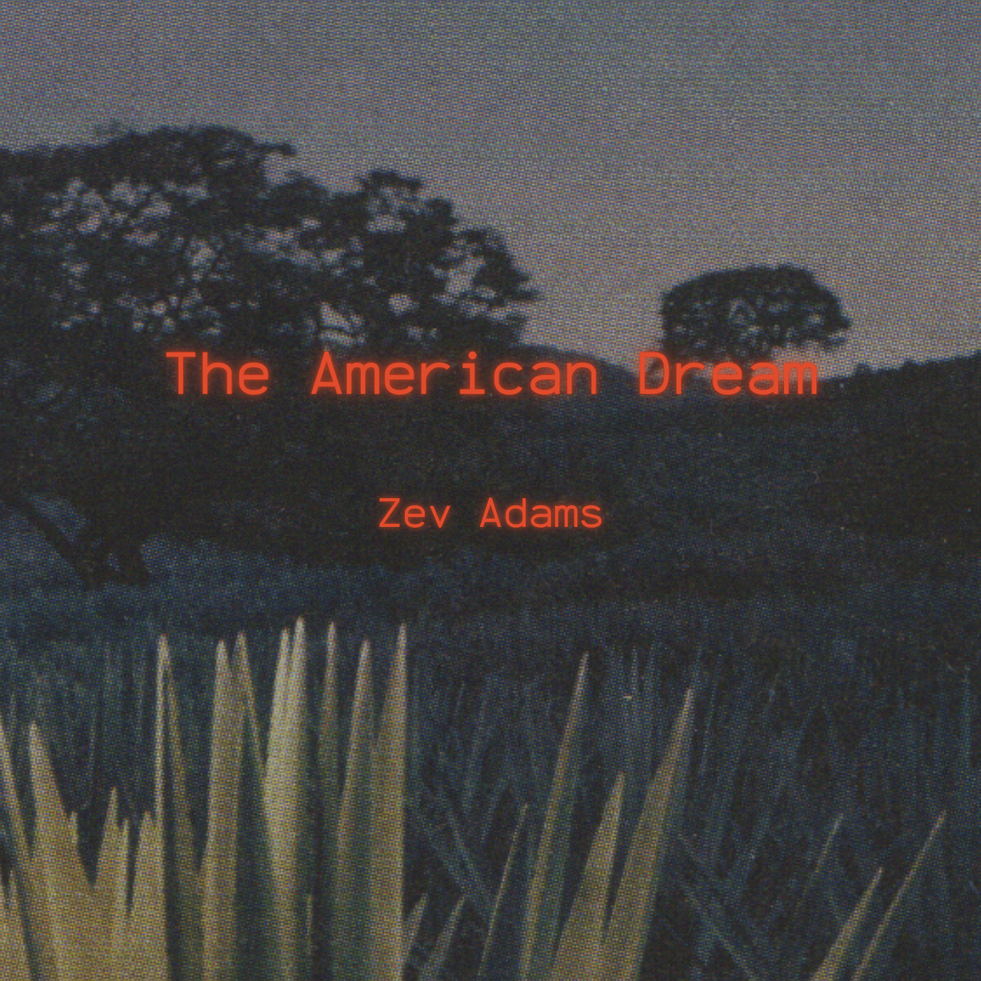 Zev Adams - New release: the american dream by zev adams