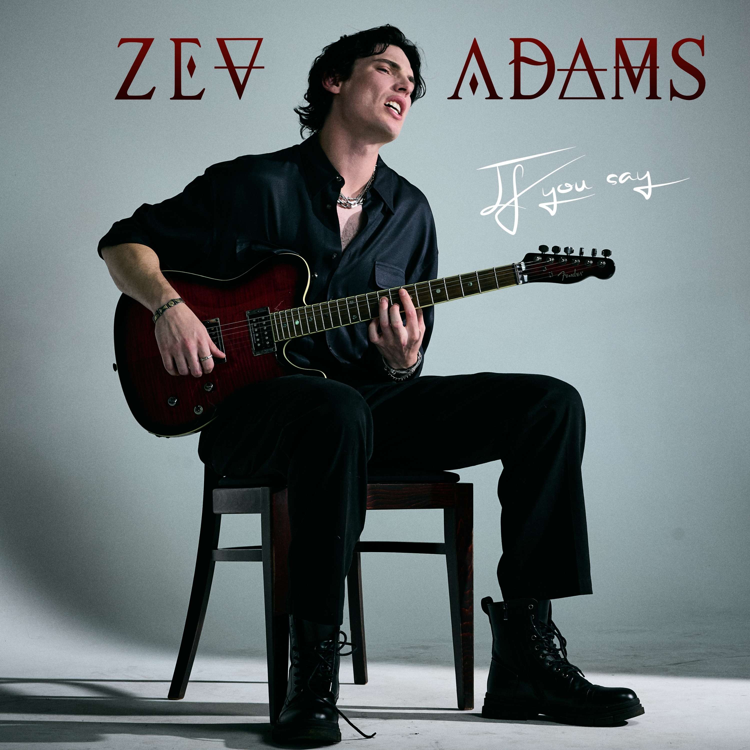 Zev Adams - If You Say: zev adams - the way
