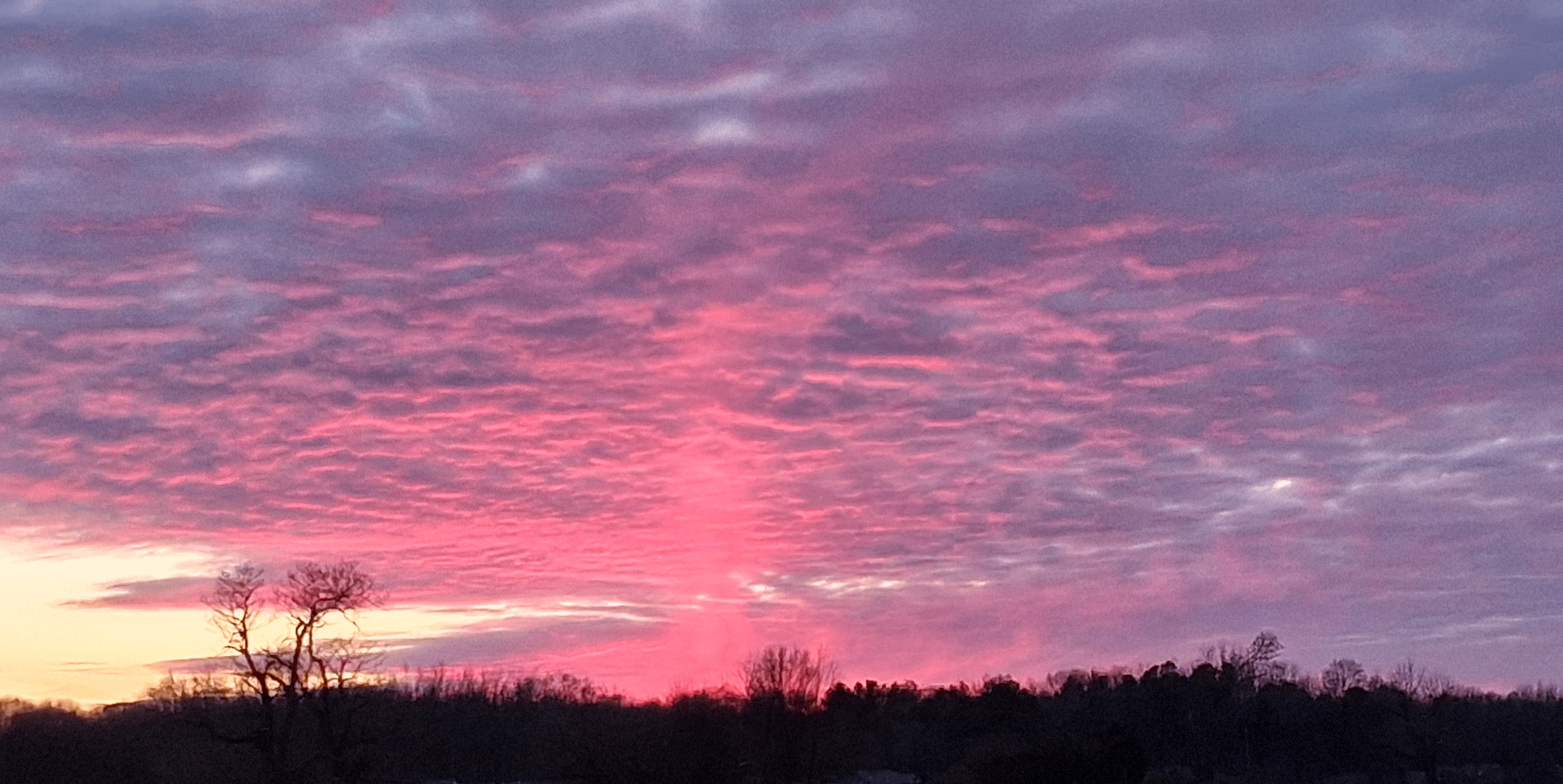 Acorn Whiskey - Back In The Saddle Again (Gene Autry and Ray Whitley): a pink sunset over a field with trees in the background