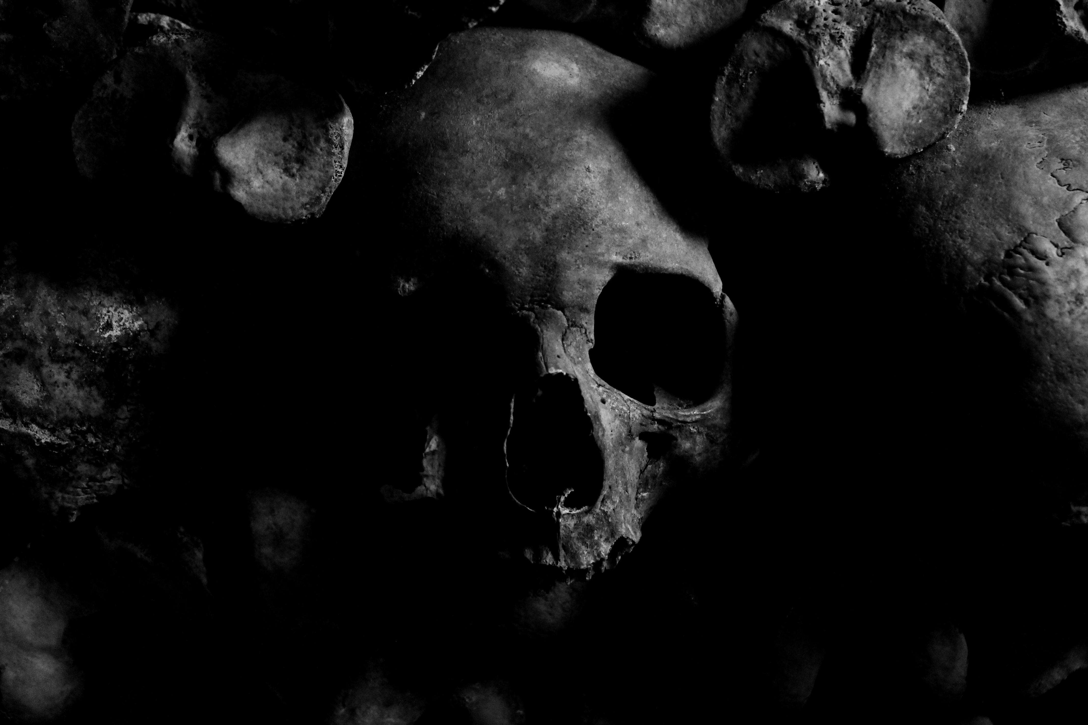 GenarationZ  - Something Wicked: a black and white photo of skulls in a cave